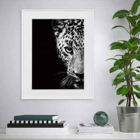 Impresión fotografía cuadro blanco y negro animal leopardo 40 x 50 cm Variety Kambuku