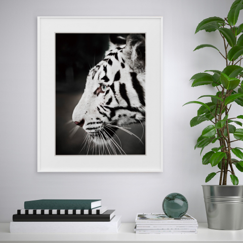 Cuadro impresión fotografía blanco y negro tigre animal 40 x 50 cm Variety Harimau