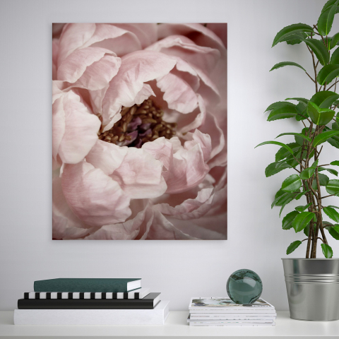 Impresión flores cuadro naturaleza floral marco 40 x 50 cm Variety Duwa