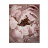 Impresión flores cuadro naturaleza floral marco 40 x 50 cm Variety Duwa Venta