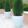 Maceta para planta diseño alto redondo Ø 60 cm jardín terraza balcón Orione Medidas