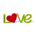 Planta letras musgo lichene estabilizado corazón decoración Love
