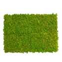 Cuadros vegetales estabilizados 4 paneles 60x40cm paneles GreenBox Kit Lichene