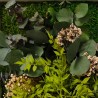 Cuadros vegetales flores estabilizadas pared ForestMoss Persefone