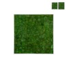Cuadro vegetal de plantas jardín de musgo verde vertical estabilizado BollMoss Venta