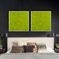 Cuadros vegetales jardín vertical estabilizado musgo verde Lichene Promoción