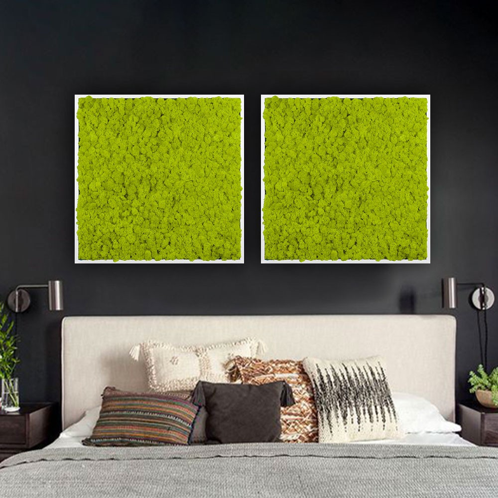 Cuadros vegetales jardín vertical estabilizado musgo verde Lichene
